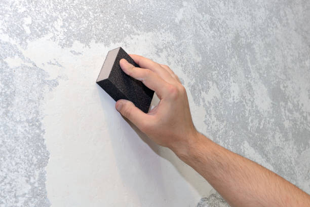 Best Forensic Mold Investigation  in Evansburg, PA