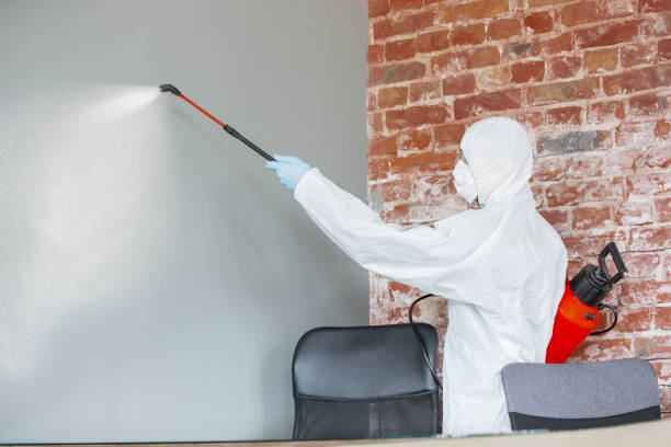 Best Mold Removal for HVAC Installations  in Evansburg, PA