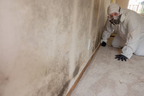 Best Water Damage & Mold Remediation  in Evansburg, PA